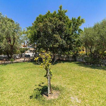 Villa Alcanada Garden الكوذيا المظهر الخارجي الصورة